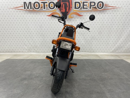 Honda PS250 Big Ruckus , 2006