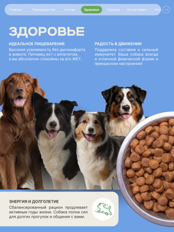 Корм сухой для взрослых собак породы Лабрадор-ретривер, с ягненком, 3 кг, QUATTRO