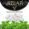JiBiAr - Absolute Menthe (100g)