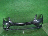 DSCN0503.JPG