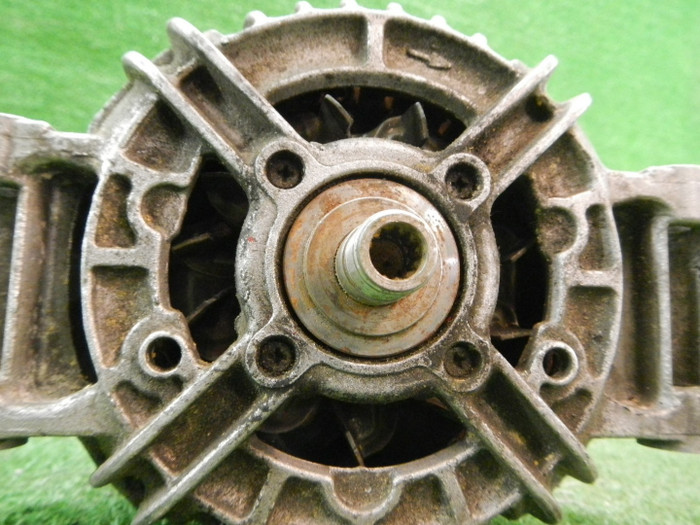 DSCN6313.JPG
