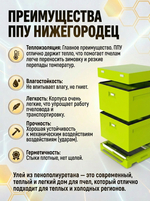 Улей ППУ Нижегородец 12 рамок Комплект 2 корпуса Дадан