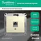 Розетка компьютерная RJ45 Cat 5e Systeme Electric Glossa Бежевый GSL000281K