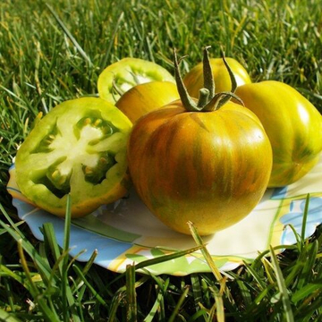 Помидоры - Green Bell Pepper - Перцевидный Зелёный