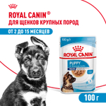 Royal Canin Maxi Puppy Макси Паппи Влажный корм для щенков крупных пород в возрасте до 15 месяцев 100г