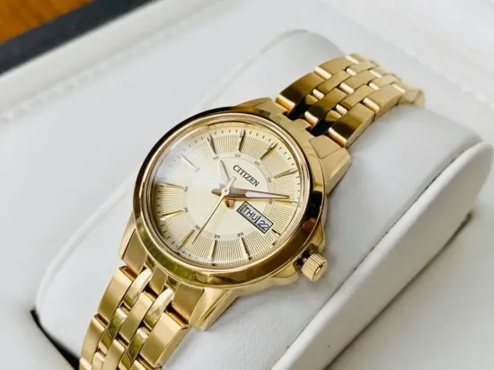 Наручные часы Citizen EQ0603-59P