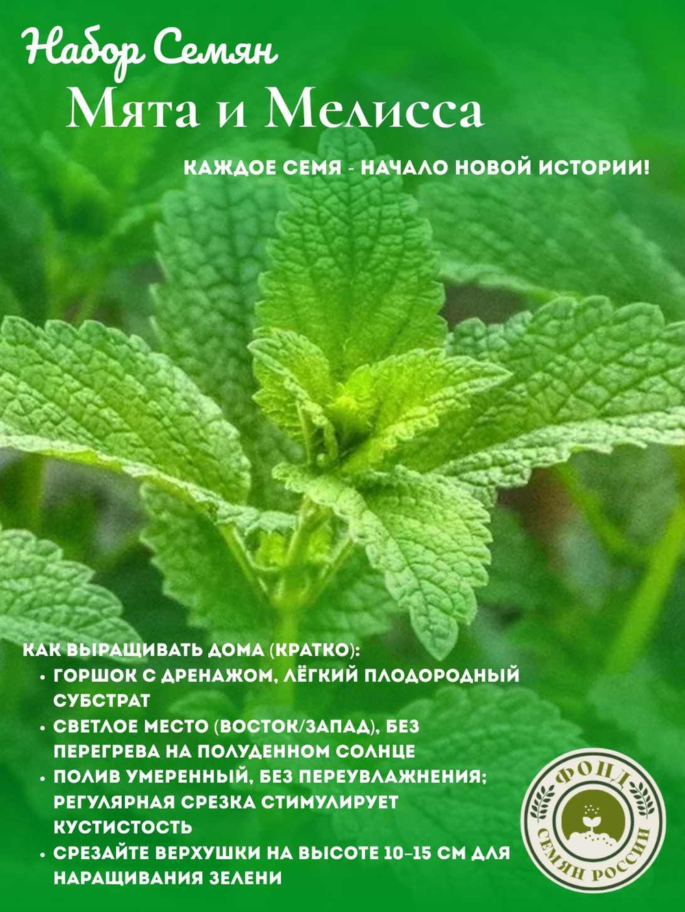 Набор трав Мята, Мелисса, семена 0,14 гр. 2 пачки