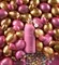 Montale Lucky Candy