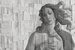 ALLUSION 24
