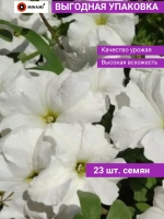 Петуния грандифлора Суперкаскад F1 Вайт