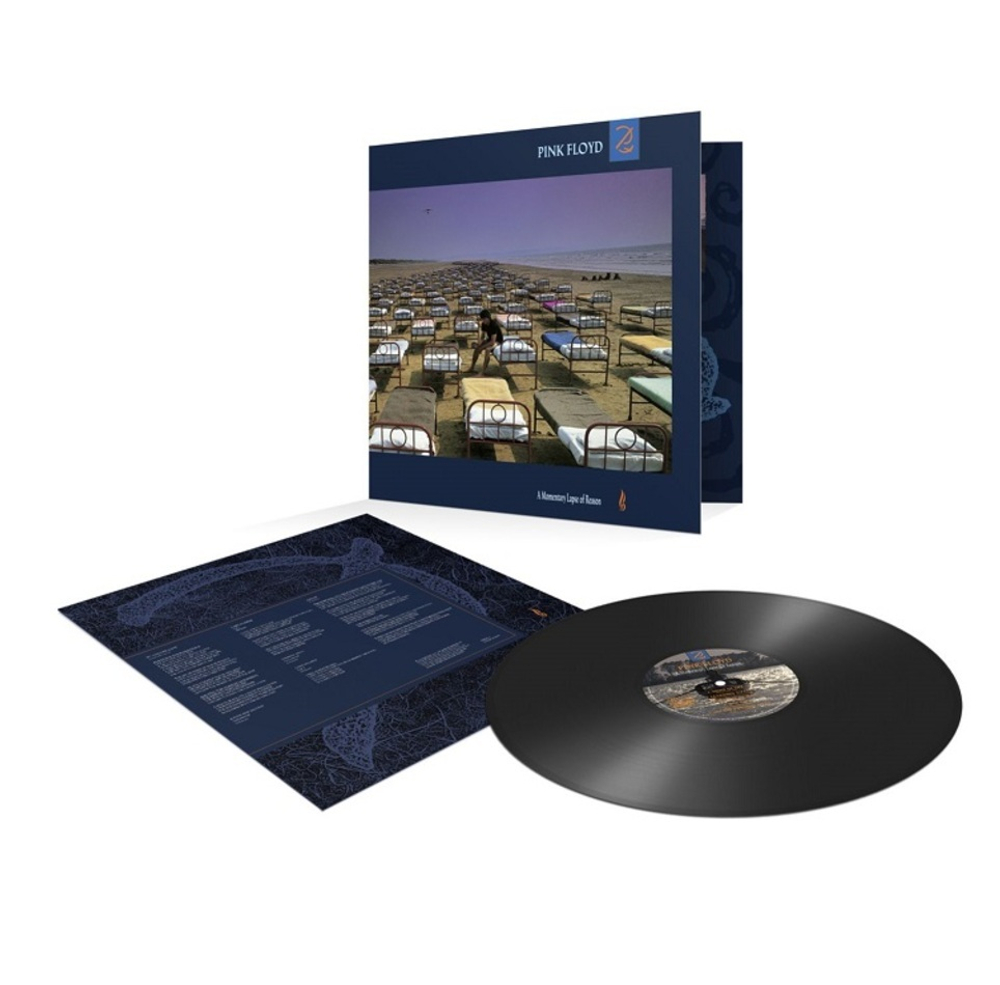 Pink Floyd / A Momentary Lapse Of Reason (LP)