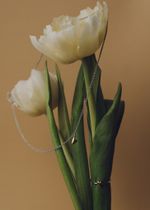 Кольцо Лав ин биколор / Love in