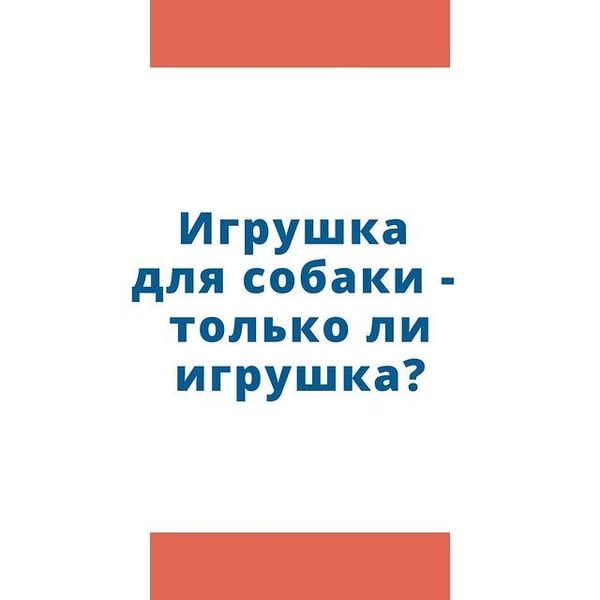 Игрушка для собаки - только ли игрушка? Игрушка для собаки - только ли игрушка?