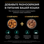 Паучи PRO PLAN MAINTENANCE для взрослых кошек утка в соусе 85г x 26 шт