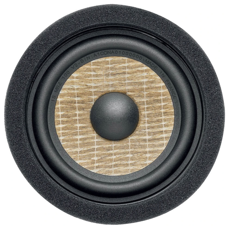 Focal IS MBZ100 V2