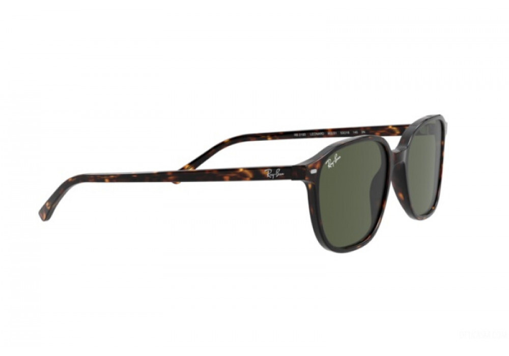 RAY-BAN LEONARD RB2193 902/31