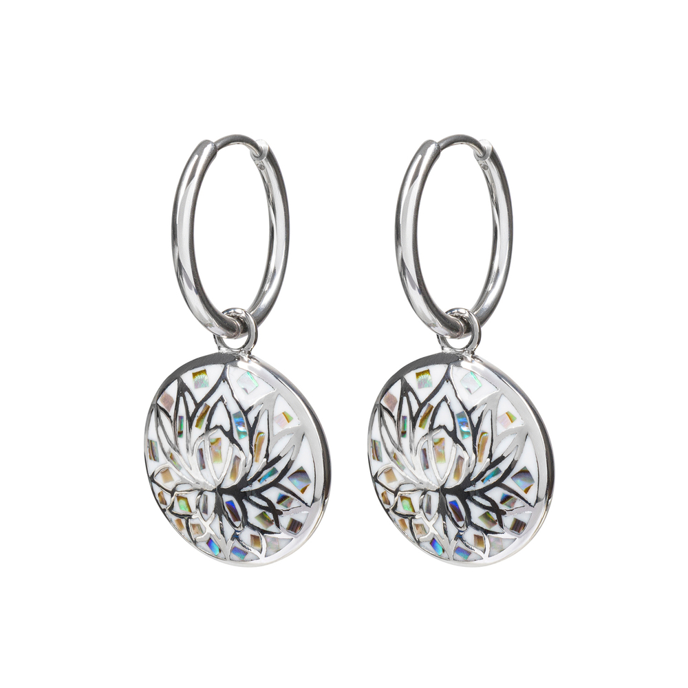 Серьги Fiore Luna AE03596-1