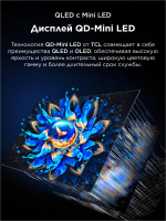 Телевизор TCL 50Q6CS, 127см, 4K Ultra HD, Google TV OS, 60 Гц, QD-Mini LED, HDR