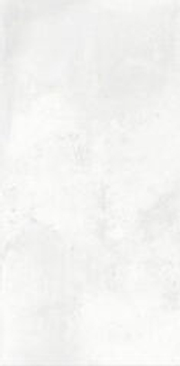NT Ceramic Cemento Bianco 60x120