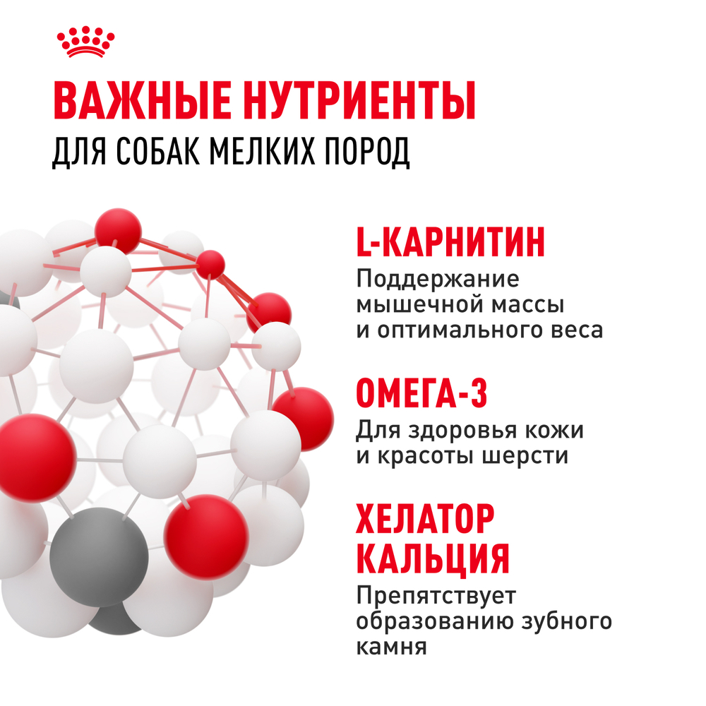 Royal Canin Mini Adult Корм сухой для взрослых собак мелких размеров от 10 месяцев - 4 кг