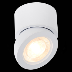 Светильник потолочный ST Luce ST654.542.10