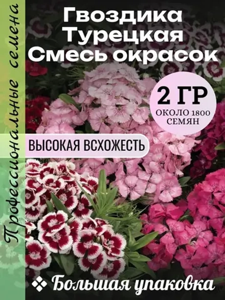 Семена Гвоздика Турецкая Смесь окрасок 2 грамма