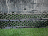 DSCN4534.JPG