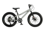 Велосипед 24" TIMETRY TT280 7ск. серебряный