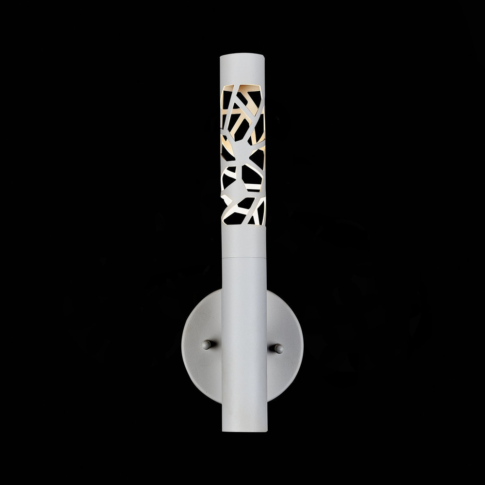 Светильник настенный ST Luce Fizorio SL1577.501.01