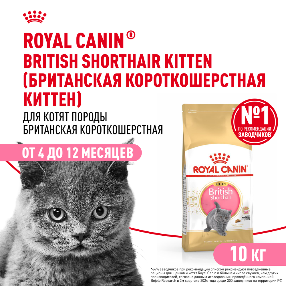 Royal Canin British Shorthair Kitten Киттен Британская короткошерстная Корм сухой сбалансированный для британских котят 10кг