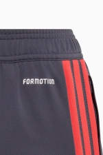 Штаны adidas Croatia 2026 Tiro Training Junior - серый