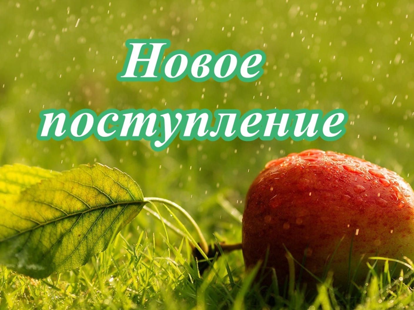 Новое в августе