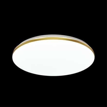 3043/DL TAN SN 214 Светильник пластик/белый/золотистый LED 48Вт 3000-6500К D385 IP43 пульт ДУ/ LampSmart LASSA