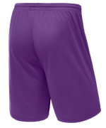 Шорты баскетбольные Camp Basic, фиолетовый, детский