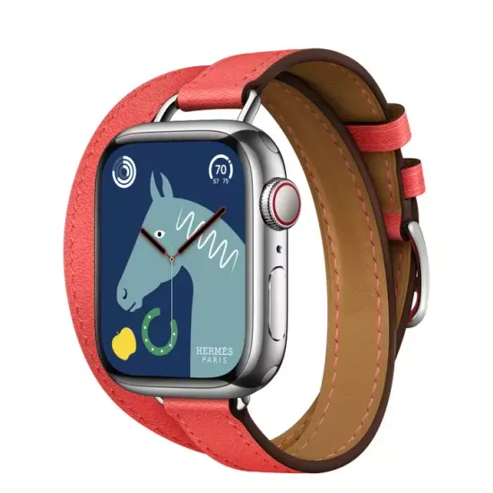Apple Watch Hermès 41mm Silver Stainless Steel Case with Attelage Double Tour Rose Texas