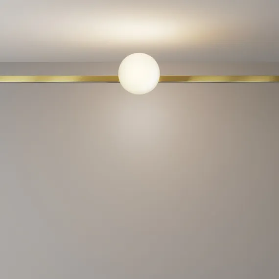 Трековый светильник Luna TR229-1-5W3K-BS Maytoni