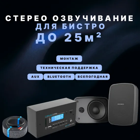 Высококачественное озвучивание для бистро (до 25 м²)