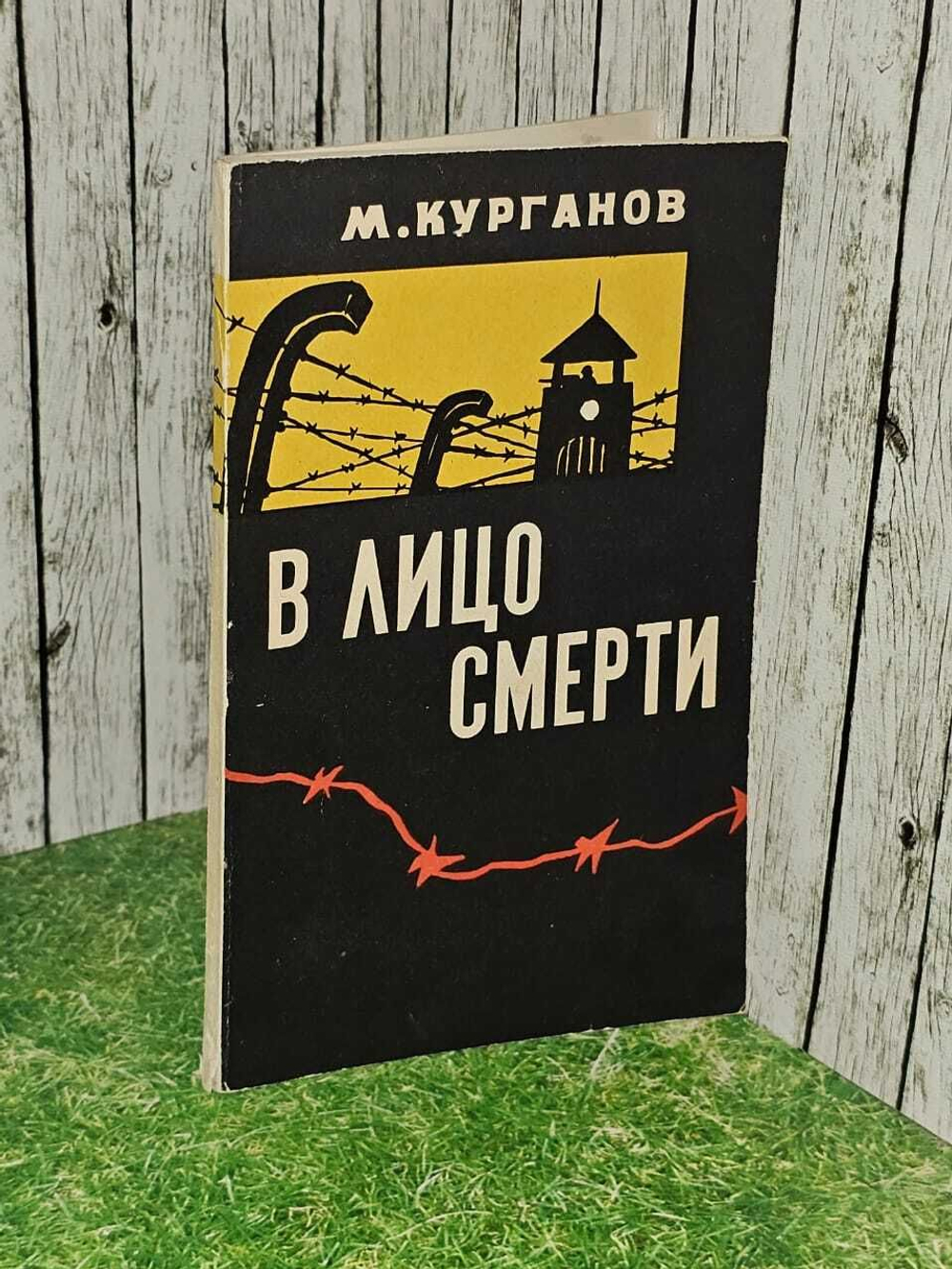 В лицо смерти. Курганов Макар Ефтропеевич
