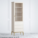 Pr29RD-gold__t