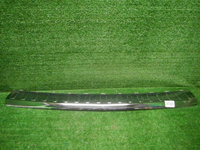 DSCN5754.JPG