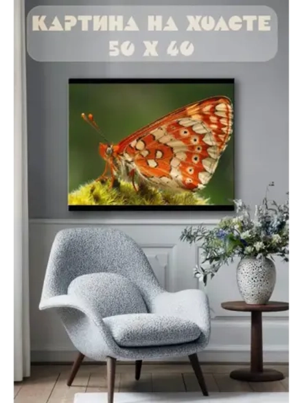 Картина на стену 40 X 50 Бабочка