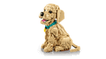 Конструктор LEGO Icons 11384 Golden Retriever Puppy