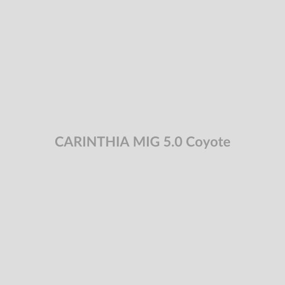 Штаны CARINTHIA ECIG 5.0 - Oliv