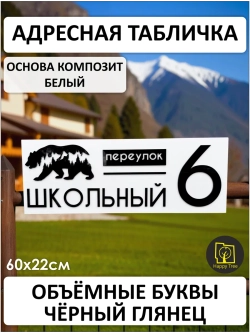 Адресная табличка на дом с объемными буквами 60х22см