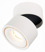 Светильник на штанге ST-Luce ST652 ST652.542.12