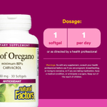 Natural Factors, Масло орегано, 180 мг, 30 мягких таблеток