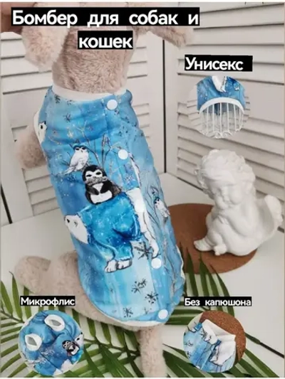 Толстовка для собак, свитшот, бомбер