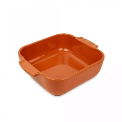 Квадратная форма для запекания 28см 2.7л Peugeot Terracotta