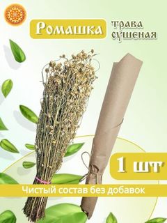 Ромашка пучок, 1 шт.