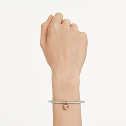 IDYLLIA:BANGLE M